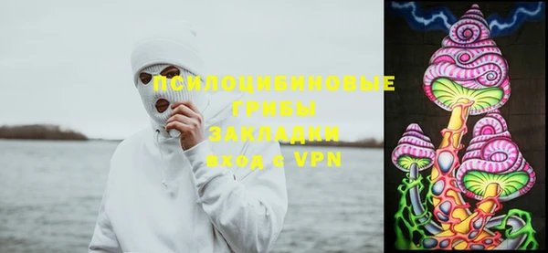 2c-b Балахна