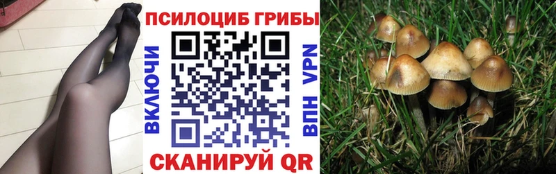 Псилоцибиновые грибы MAGIC MUSHROOMS  ссылка на мегу как зайти  Сковородино 